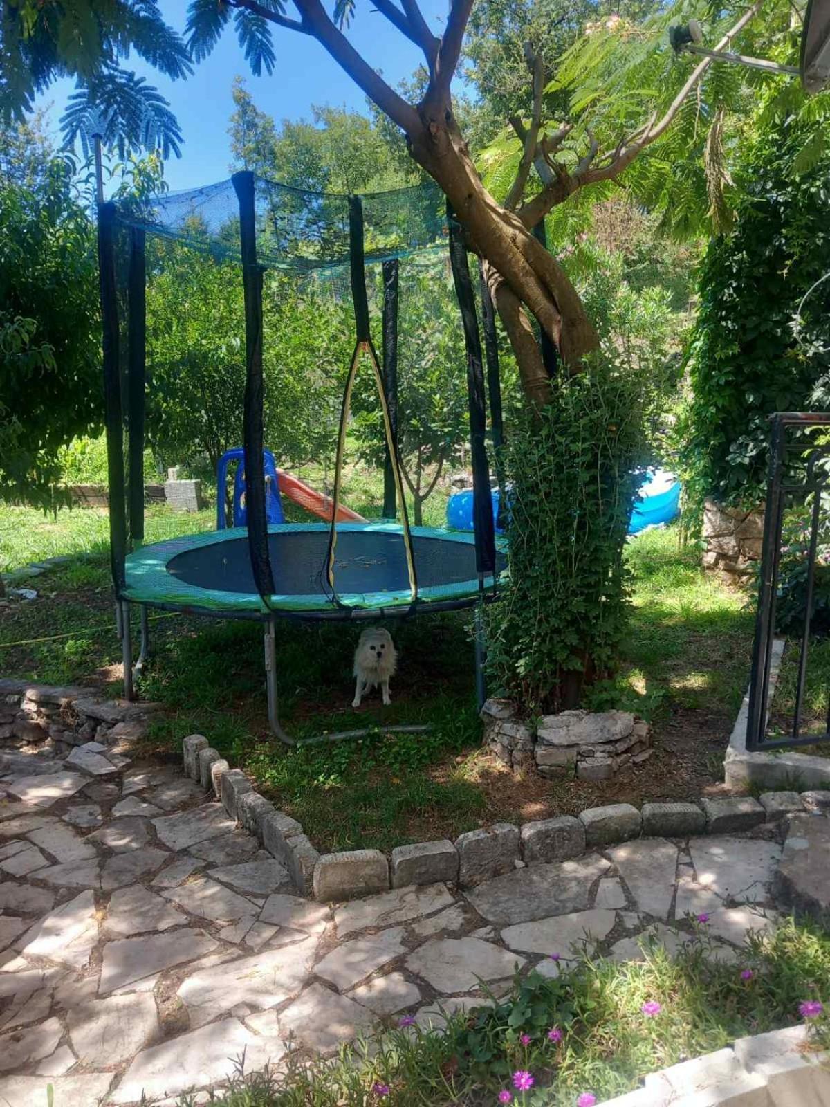 Apartamento Dado Virpazar Exterior foto